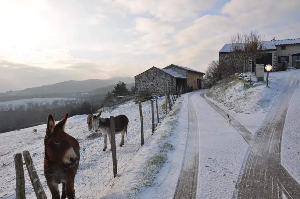 La Ferme de Simondon en hiver
