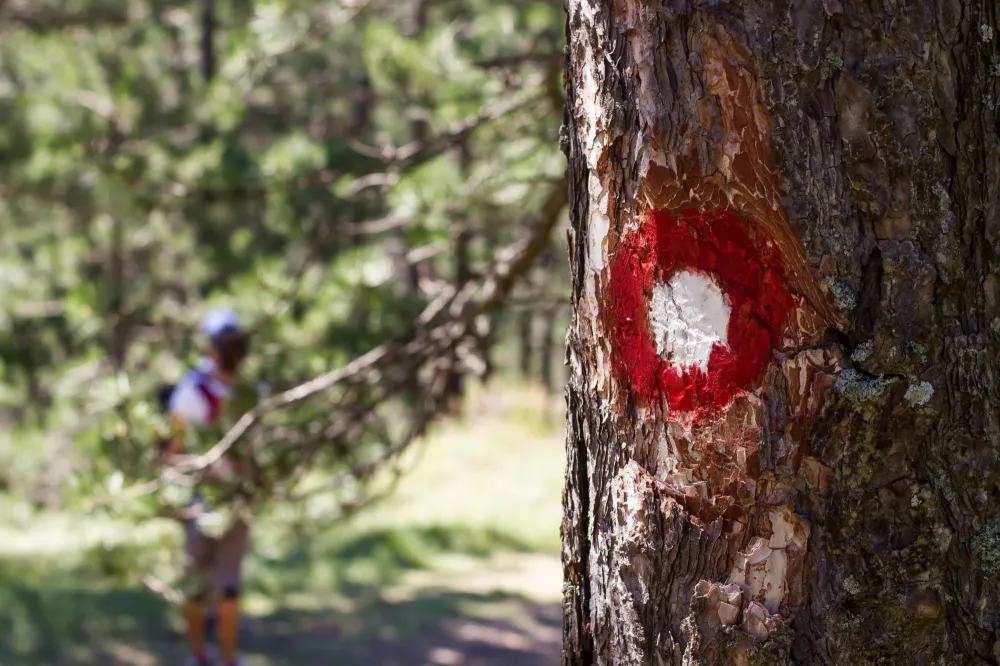 AdobeStock_119526131-min